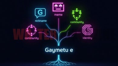Gaymetu E