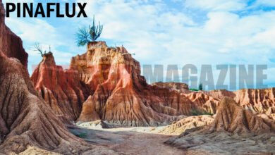 Pinaflux