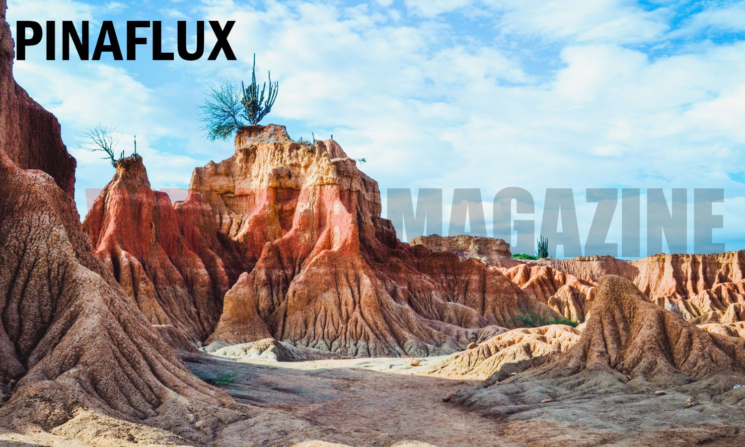 Pinaflux