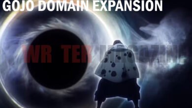 Gojo Domain Expansion