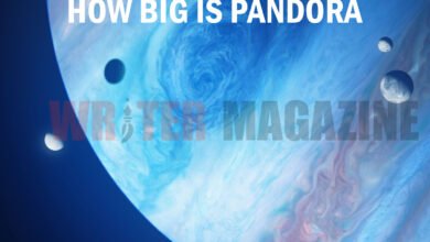 How Big Is Pandora